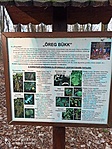 IMG_20220211_085156