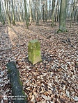 IMG_20220211_084859