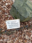 IMG_20220211_084206