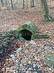 IMG_20220211_082827