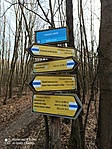 IMG_20220211_082525