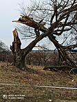 IMG_20220227_120747