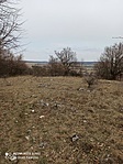IMG_20220227_121641