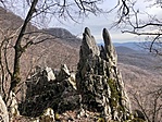 IMG_2606