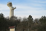 -25