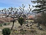 2022 02 06 Hegymászók emlékhelye a Szemlő-hegyi barlangnál