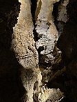 A kőorrú bába