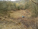DSCN97791