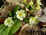 DSCN97805