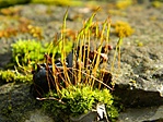 DSCN97799