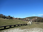 IMG_6740