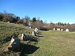 IMG_6744