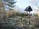 IMG_6769