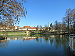 IMG_6826