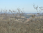 IMG_7052