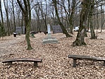 IMG_4165