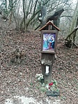 IMG_20220221_093942