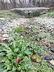 IMG_20220225_153146