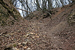 IMG_7184