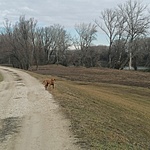 IMG_20220205_120919