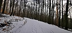 IMG_20220130_095757