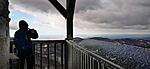 IMG_20220130_111311