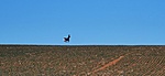 IMG_20220212_134221