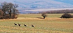 IMG_20220212_140446
