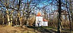 IMG_20220212_141237