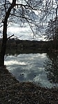 IMG_20220220_132738