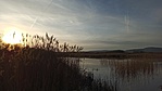IMG_20220224_165039