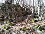 P_20220212_110525[1]