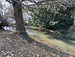 IMG_5695