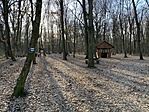 IMG_5778