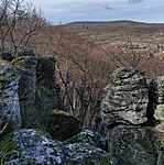 273848781_366554958273854_4985246800879006876_n