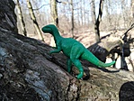 IMG_20220312_110432