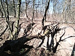IMG_20220312_110535