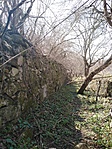 IMG_20220327_142448