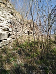 IMG_20220327_133725