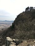 IMG_2447