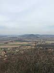 IMG_2448