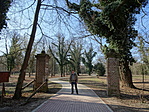 DSC06179