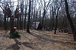 IMGP0232