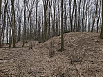 IMG_20220306_112414672_HDR