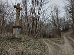IMG_20220306_111054458_HDR