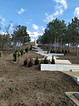 IMG_20220306_135854