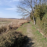 IMG_20220312_143333