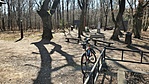 GCIHS_2_20220324