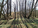 1648230278302