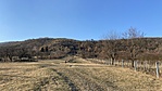 IMG_3005